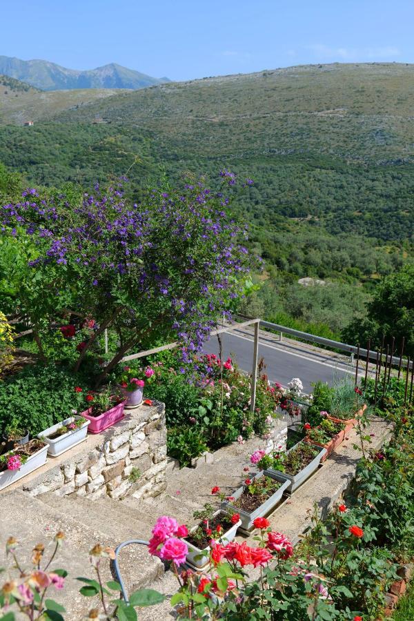 Saranda Landscape Lejlighed Nivice Eksteriør billede