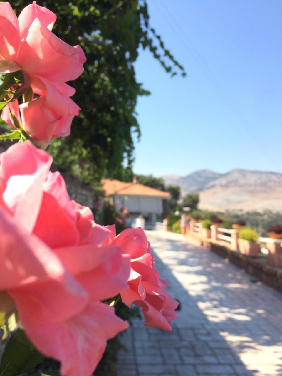 Saranda Landscape Lejlighed Nivice Eksteriør billede